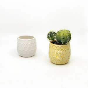Honeycomb Planter